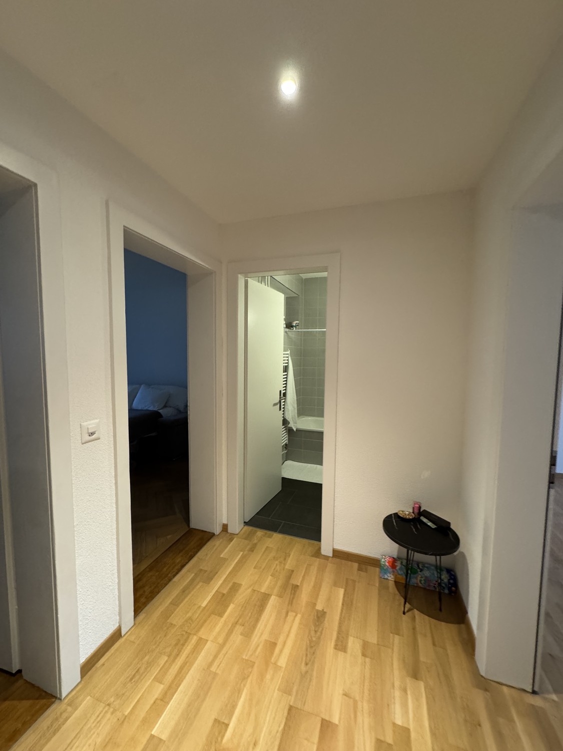 Appartement de 3 ½ pièces