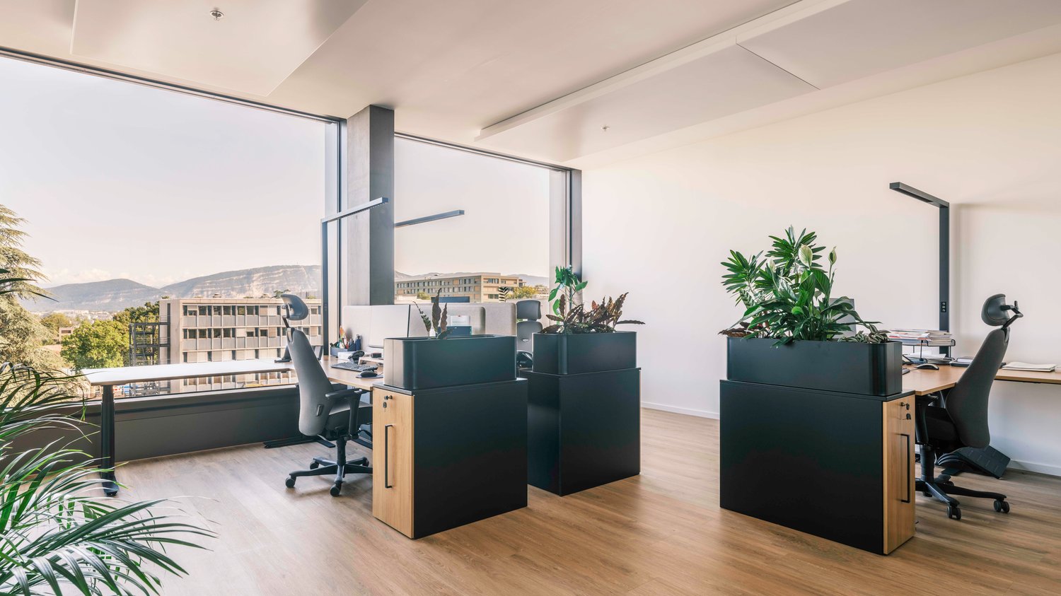 1250m² Büro