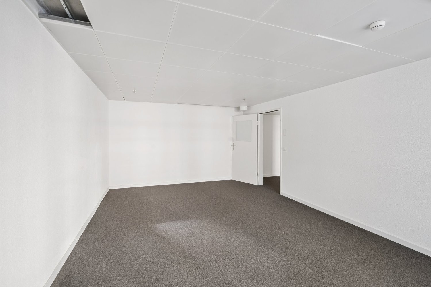 151m² office