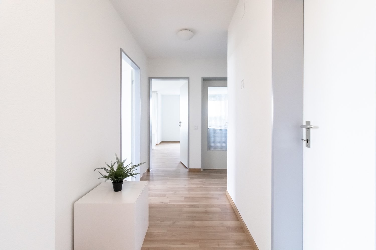3 ½ rooms apartment (3)