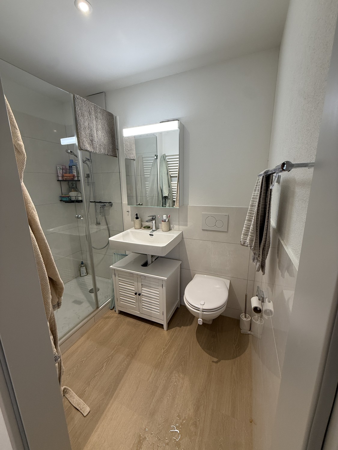 2 ½ Zimmer Wohnung