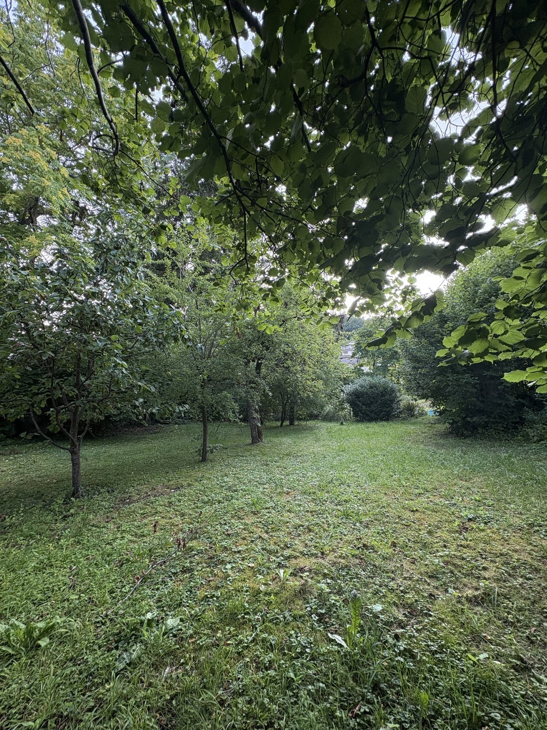 Zimmer in einer WG, Foto 7 von 7