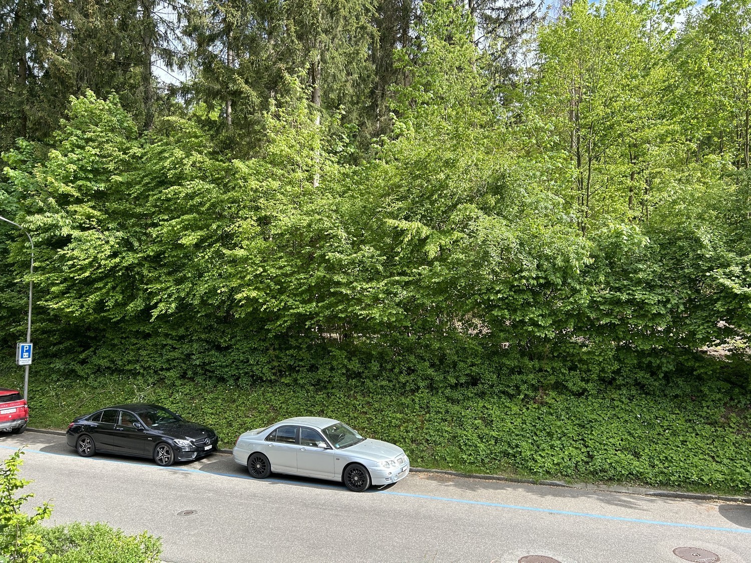 Zimmer in einer Wohngemeinschaft, Foto 9 von 9