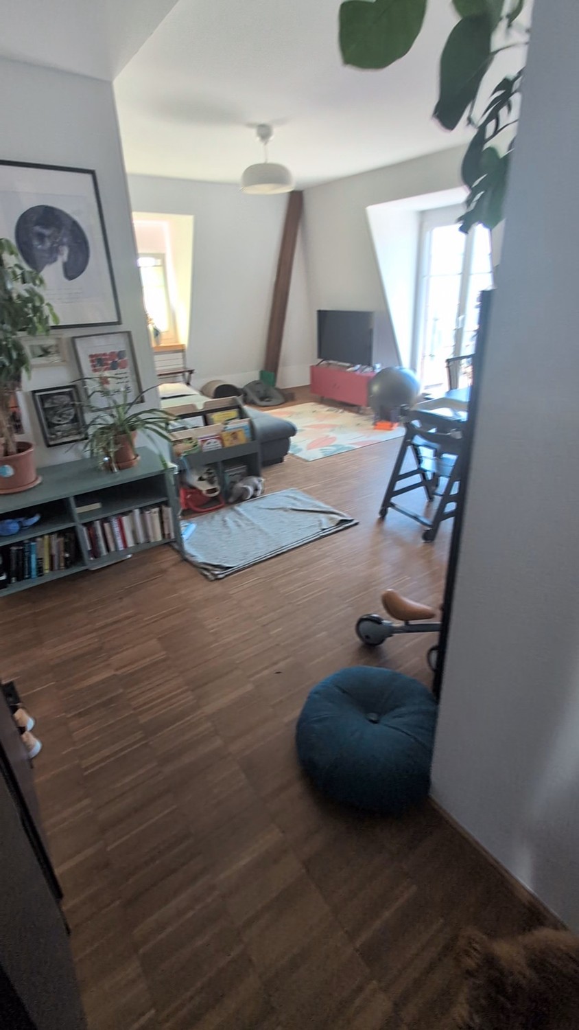 3 ½ rooms apartment, Foto 1 von 10