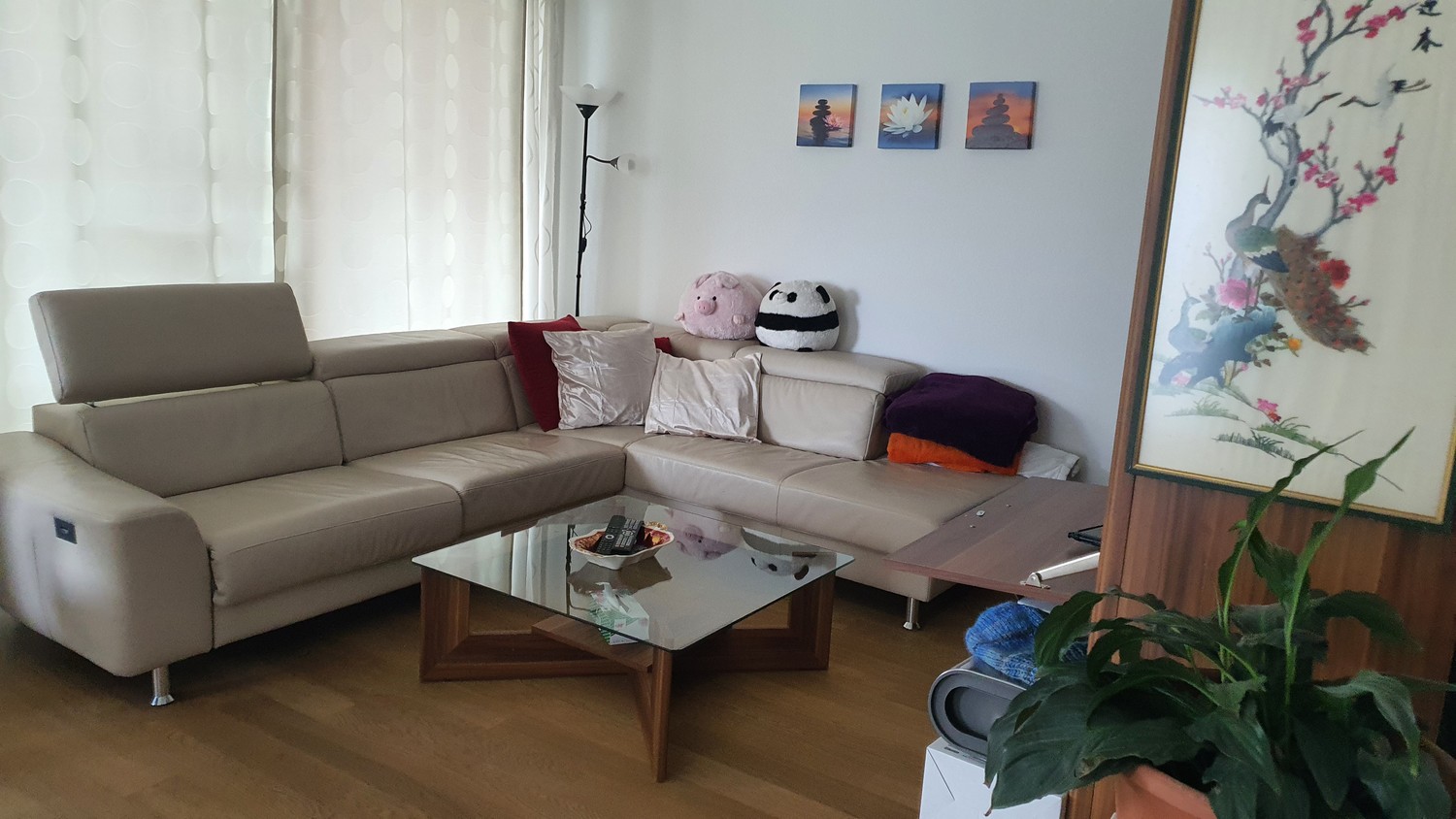Room in a shared flat