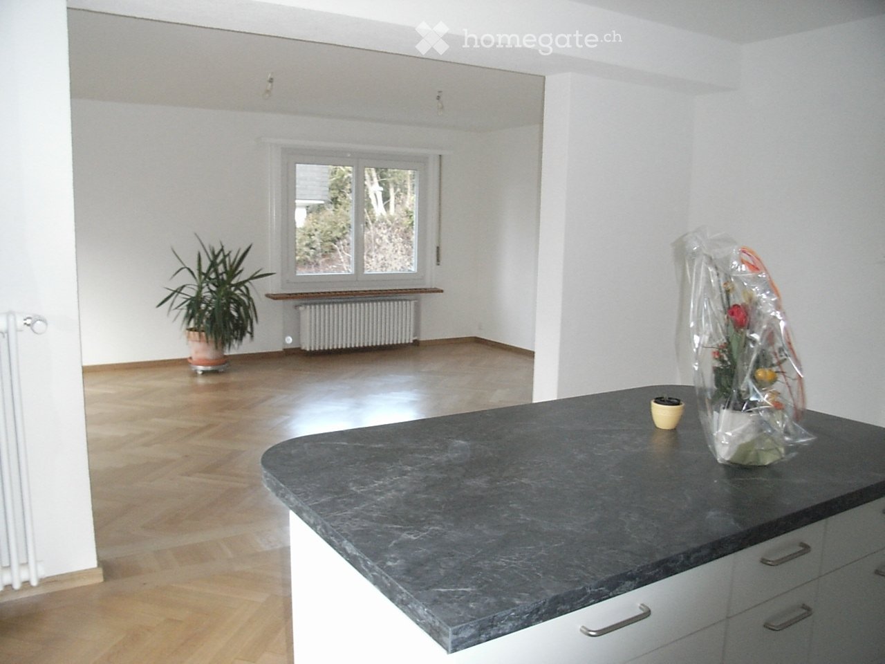 4 ½ Zimmer Wohnung