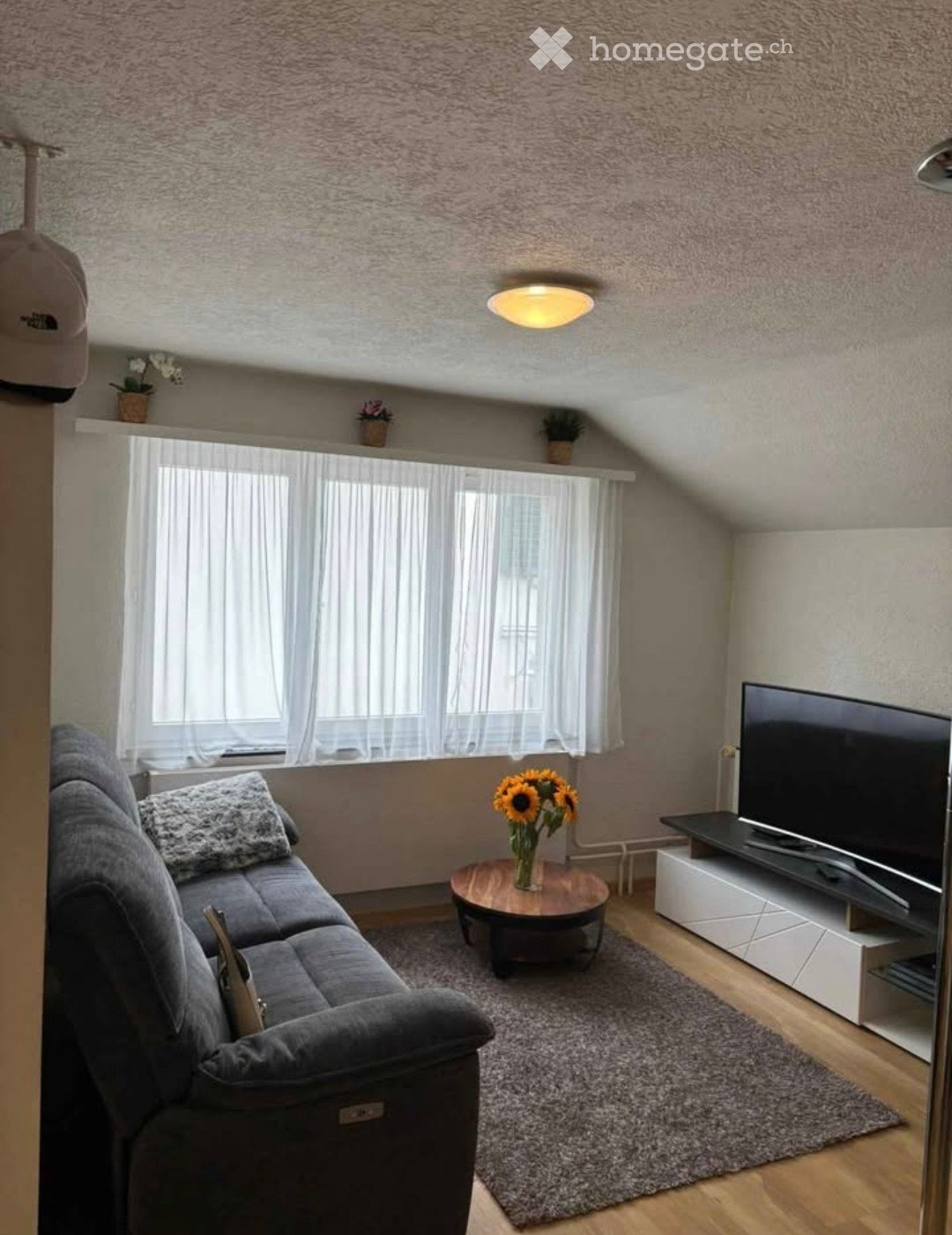 2 ½ rooms apartment, Foto 1 von 5