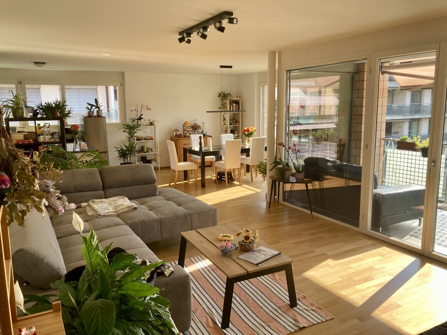 Chambre dans un appartement partagé