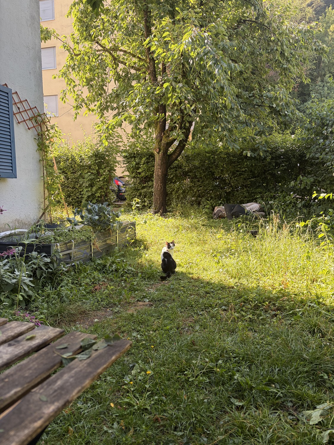 Room in a shared flat, Foto 4 von 8