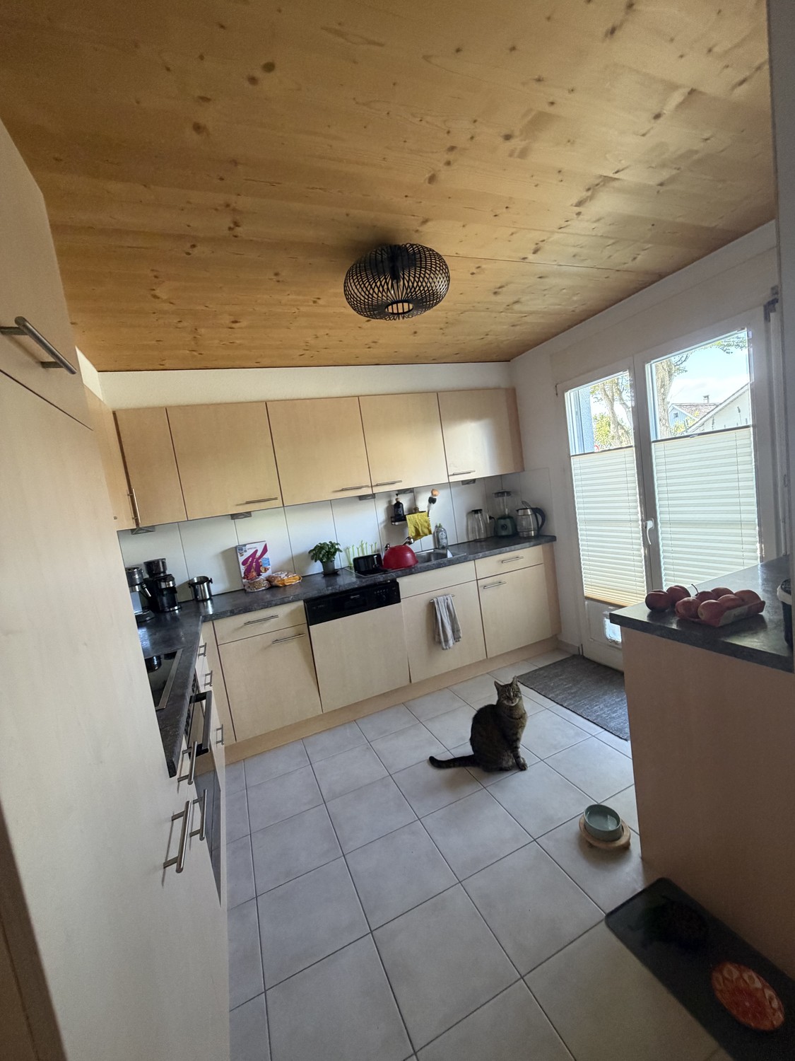Appartamento di 4 ½ locali