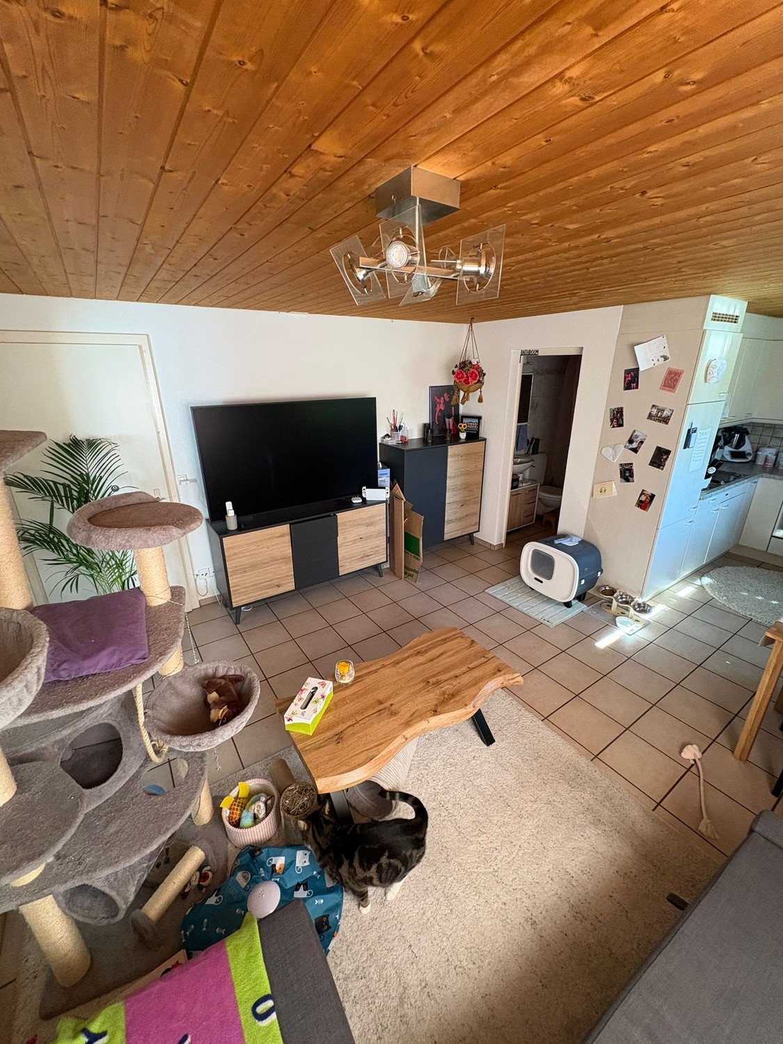 2 ½ rooms apartment, Foto 4 von 7