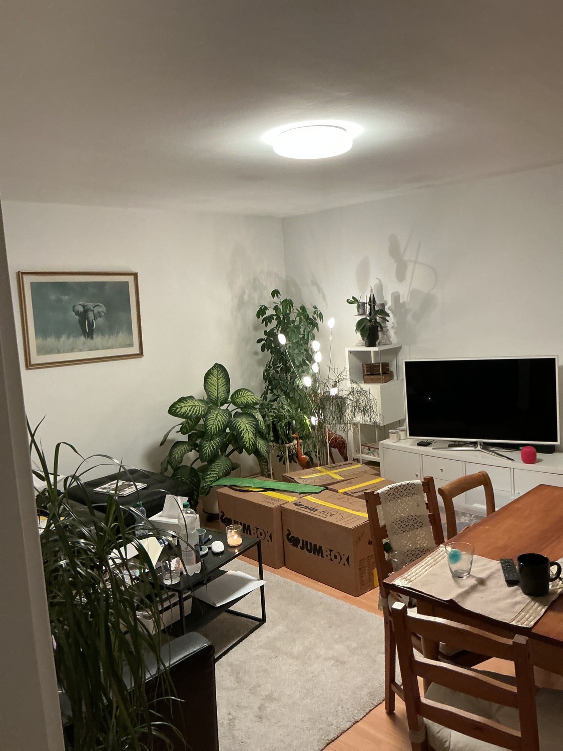 2 rooms apartment