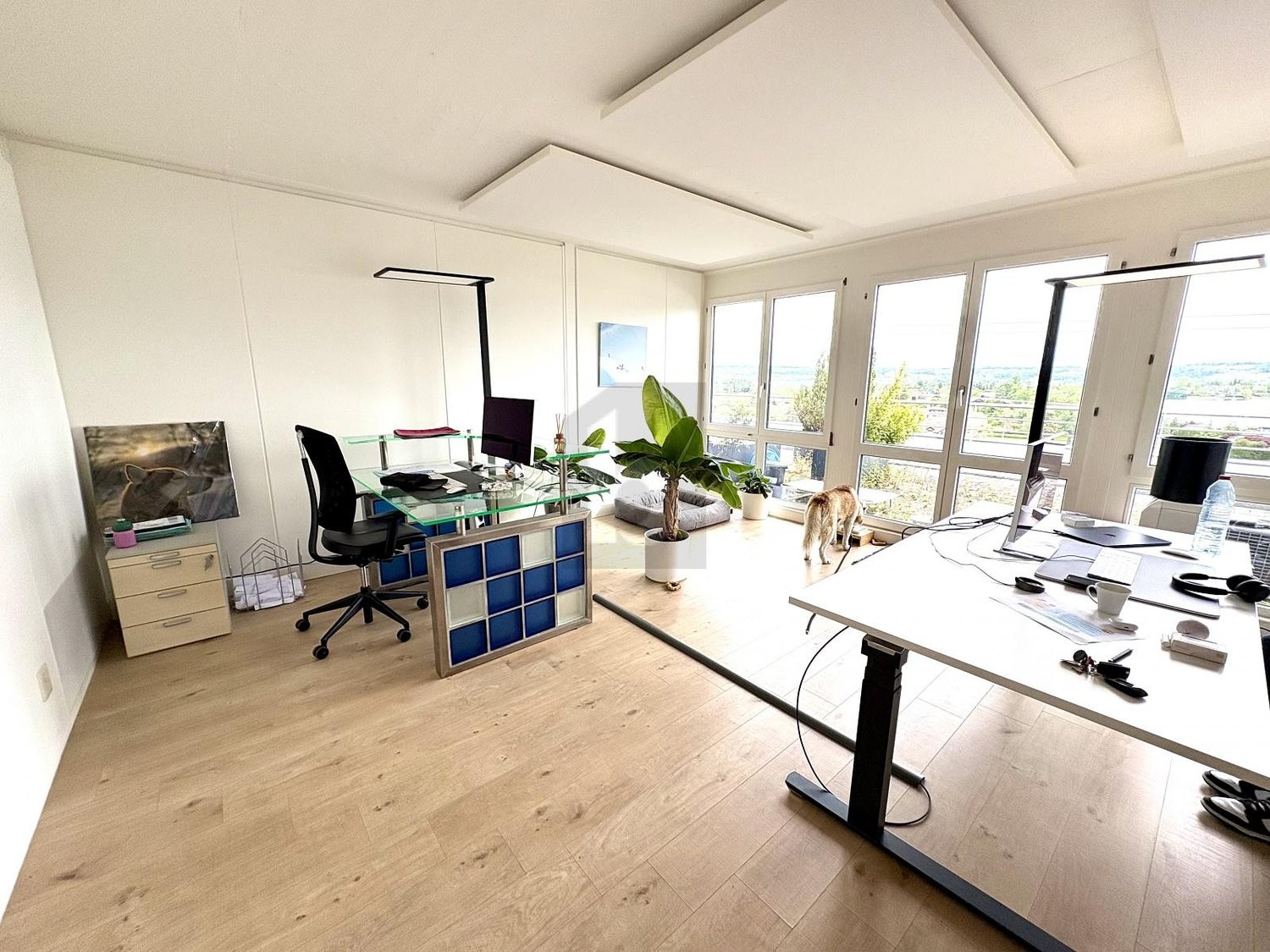 160m² office