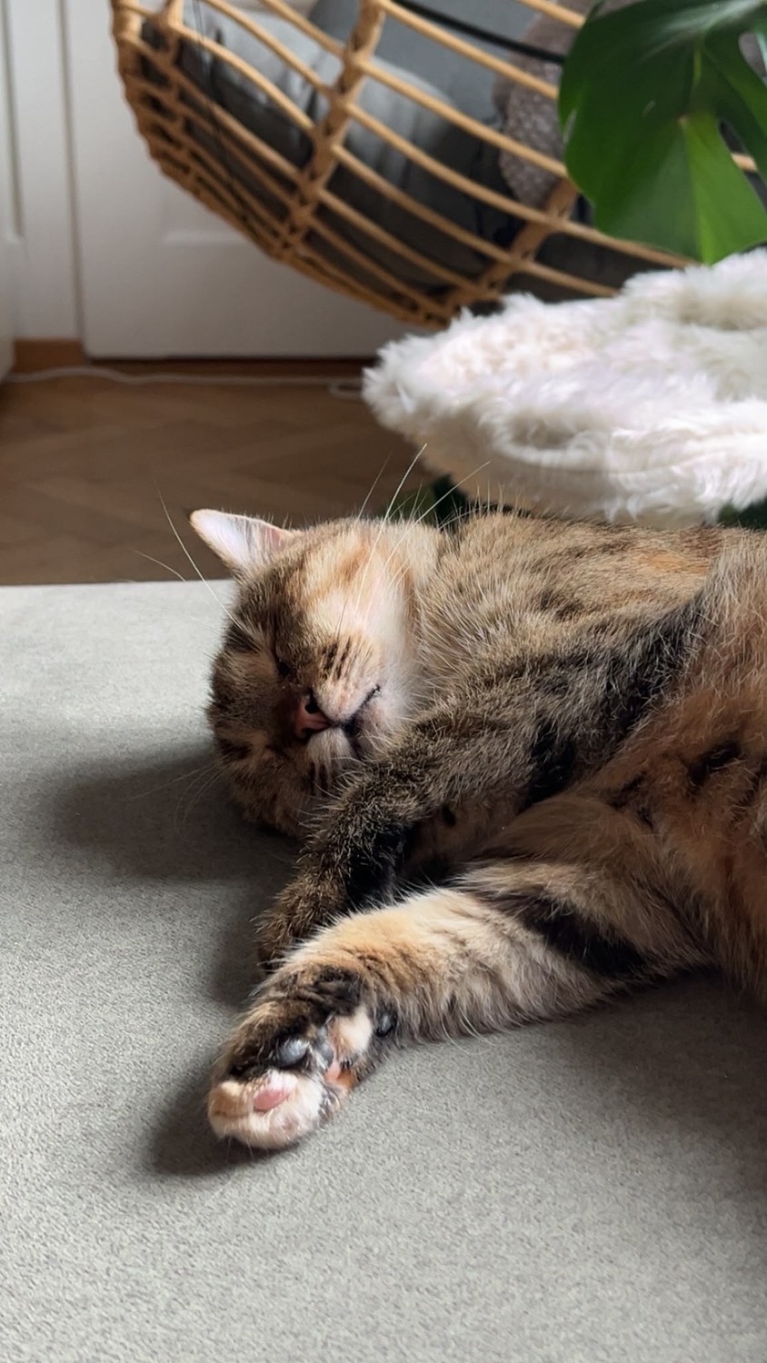 Room in a shared flat, Foto 6 von 6