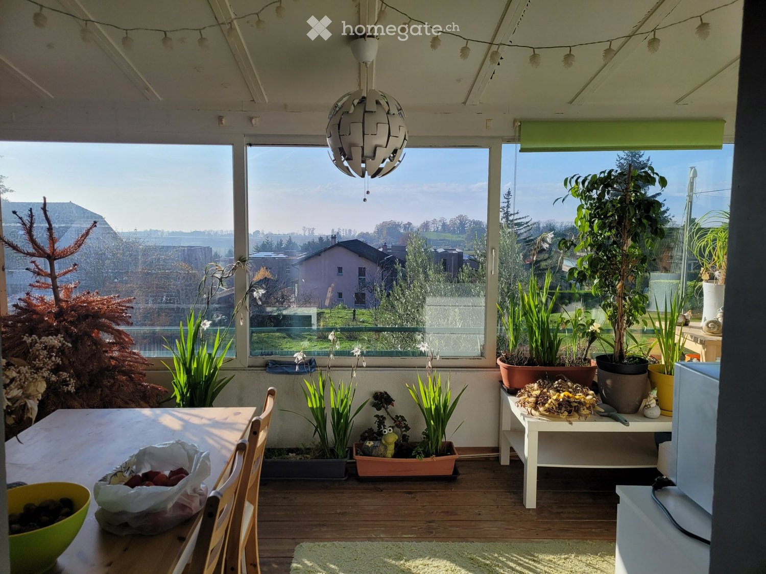 3 ½ Zimmer Wohnung