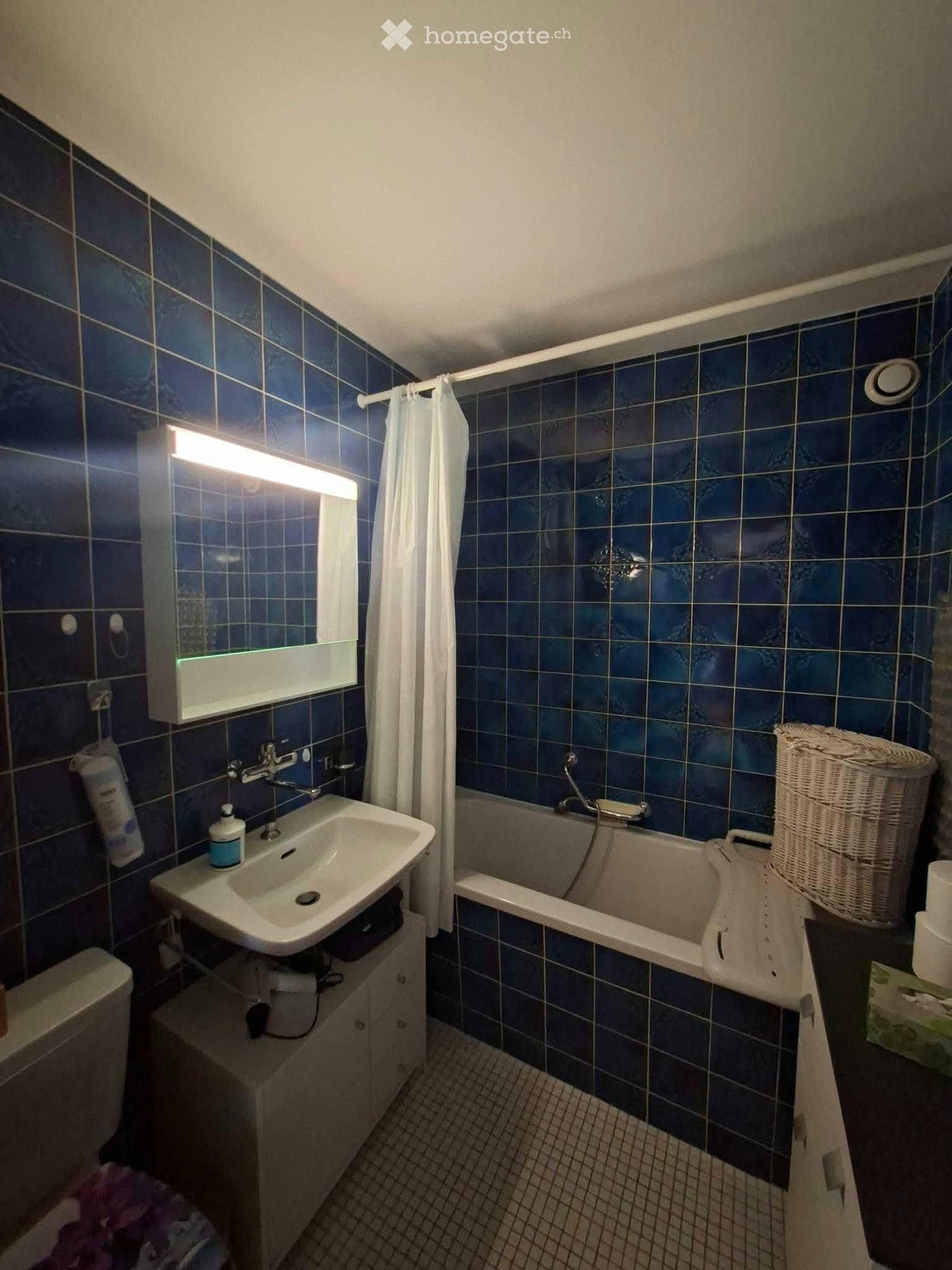 2 ½ Zimmer-Wohnung