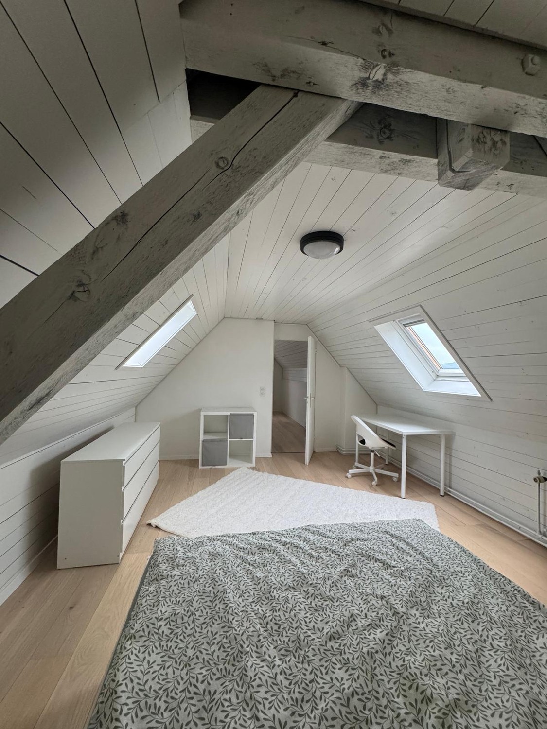 Chambre dans une colocation