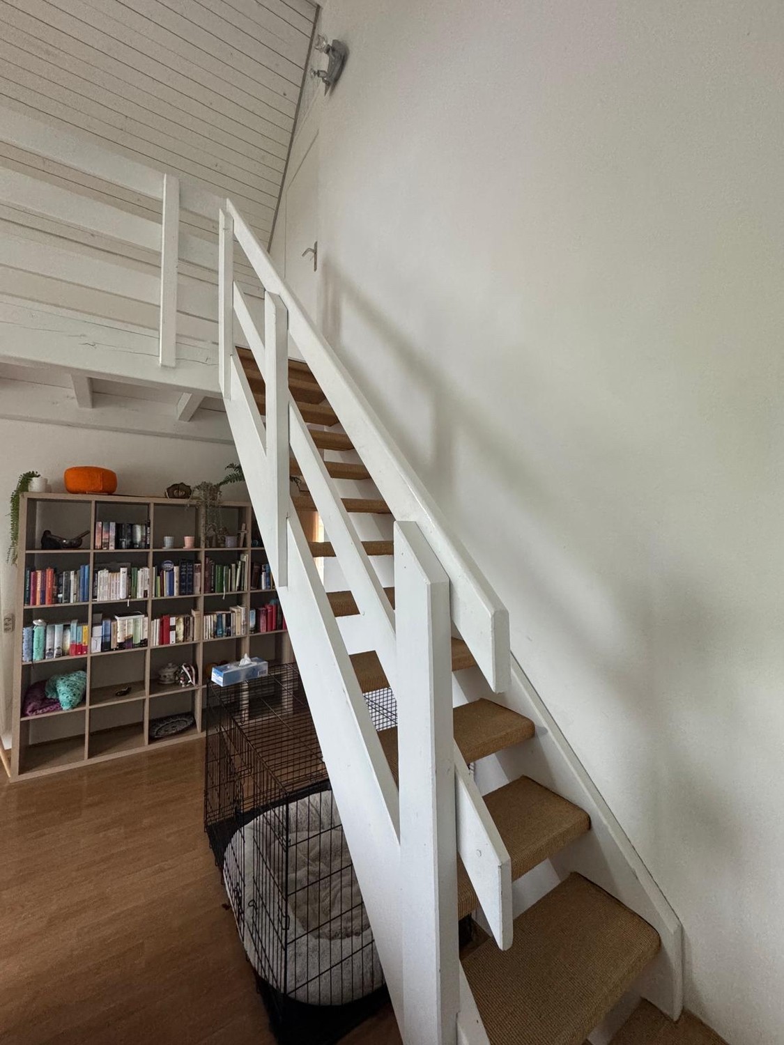 Chambre dans une colocation