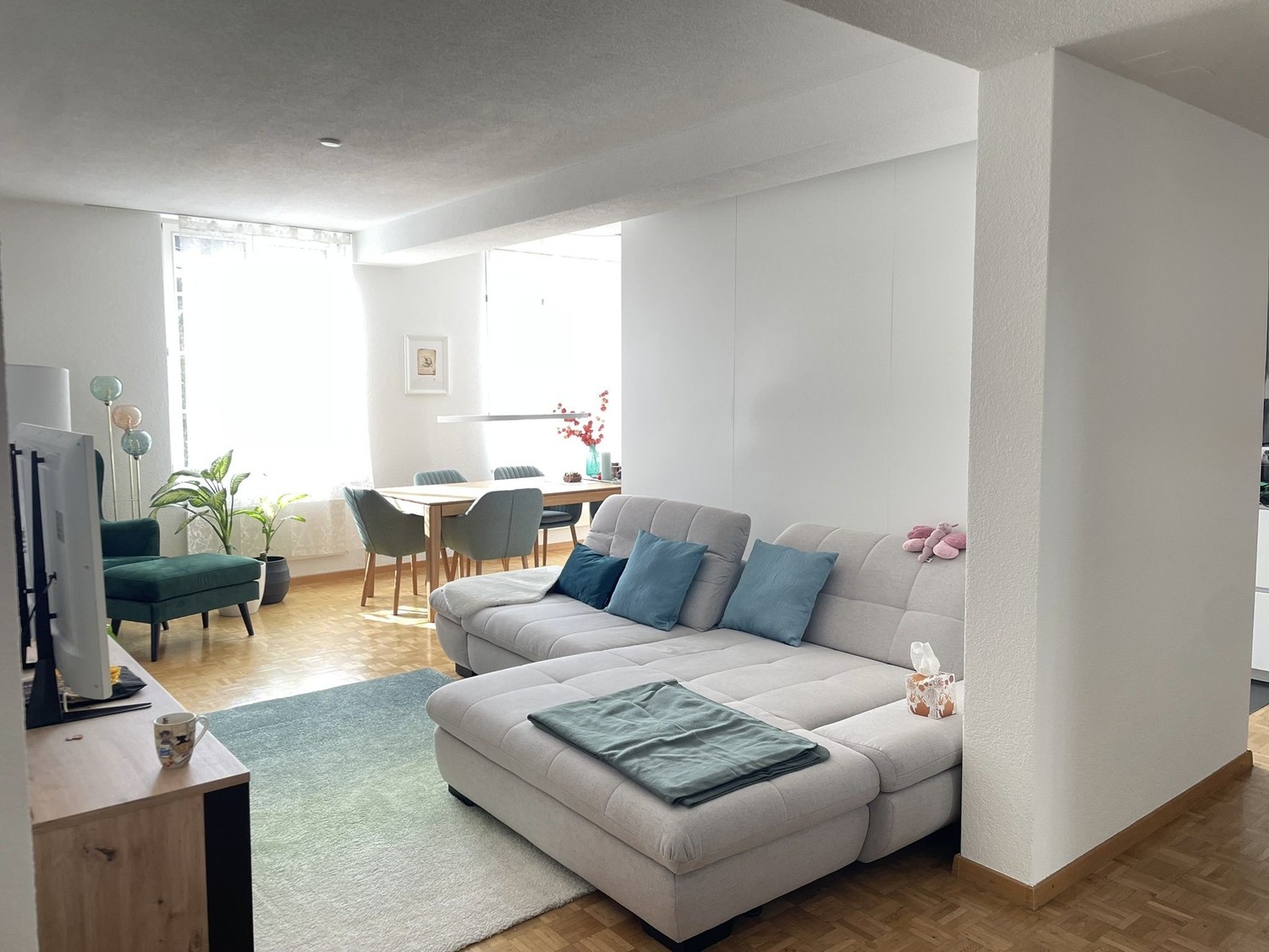 3 ½ Zimmer Wohnung