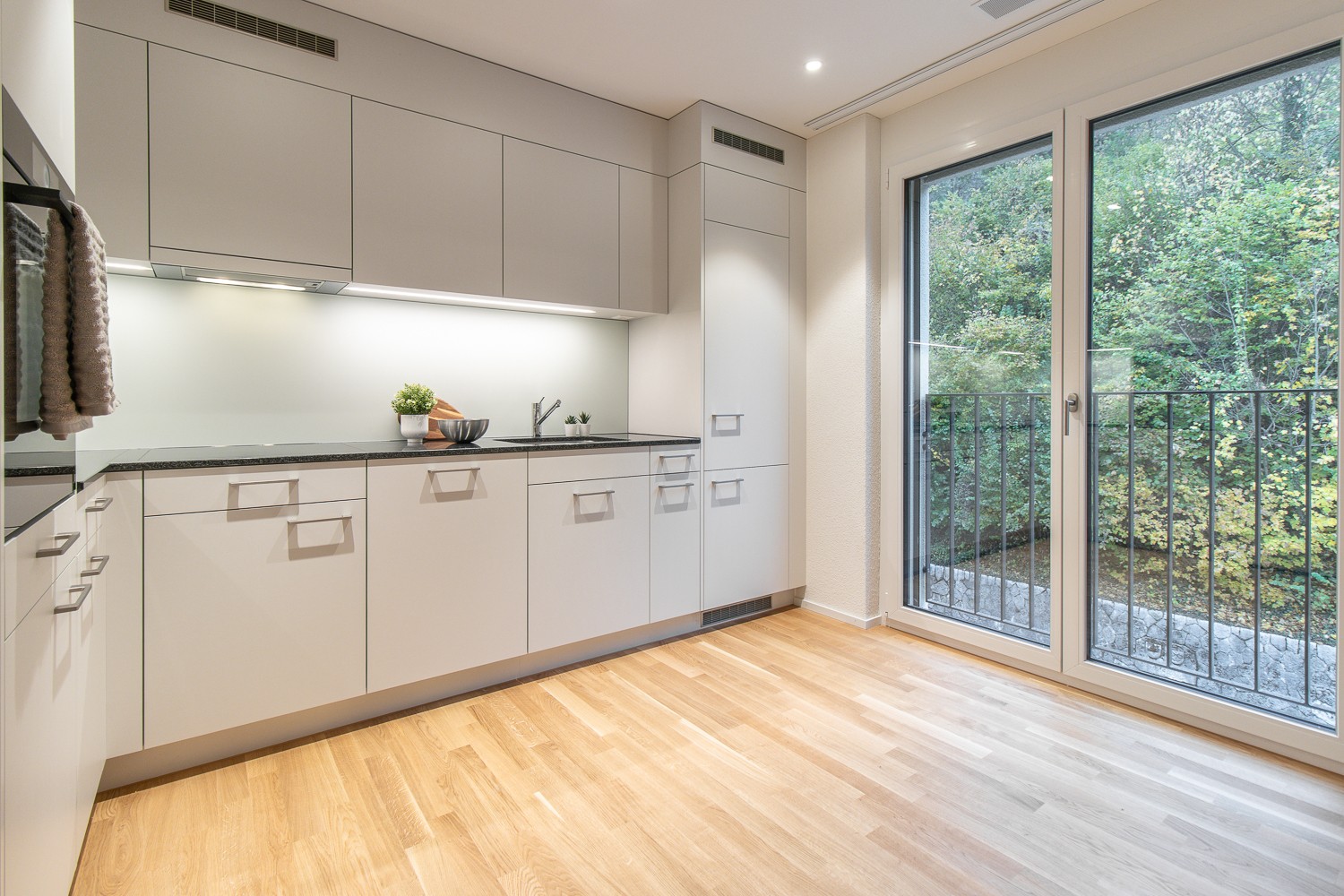 2 ½ rooms apartment