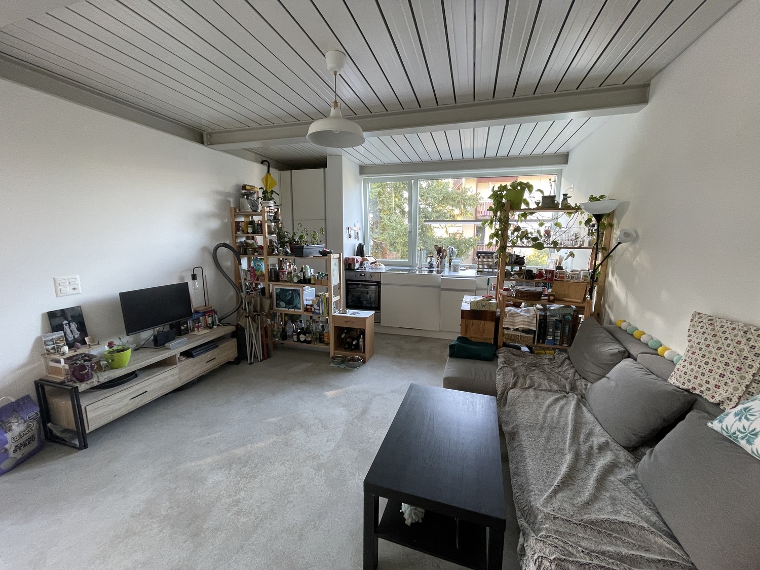 2 ½ Zimmer-Wohnung