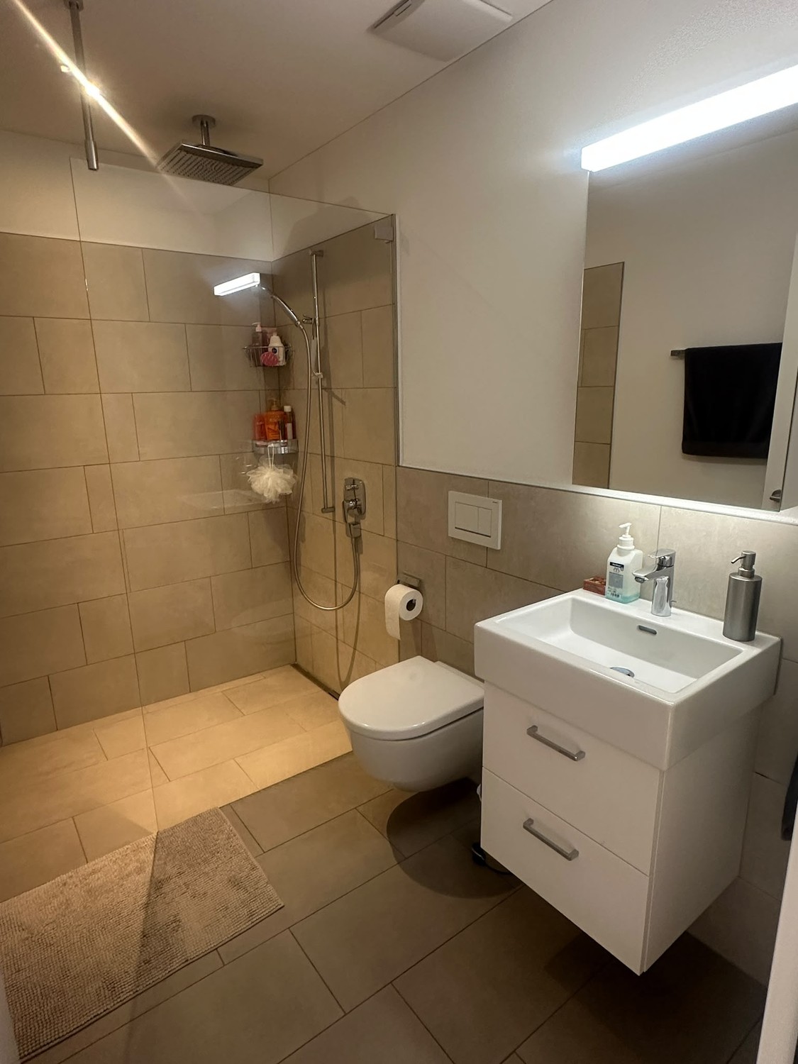 Appartement de 2 ½ pièces