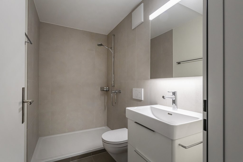 4 ½ rooms apartment (5)