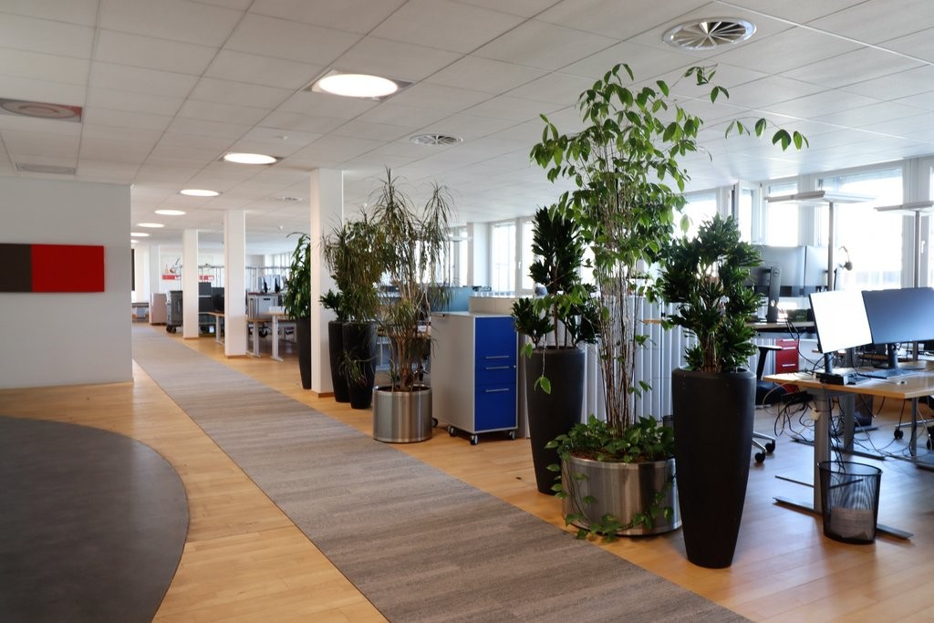 707m² office