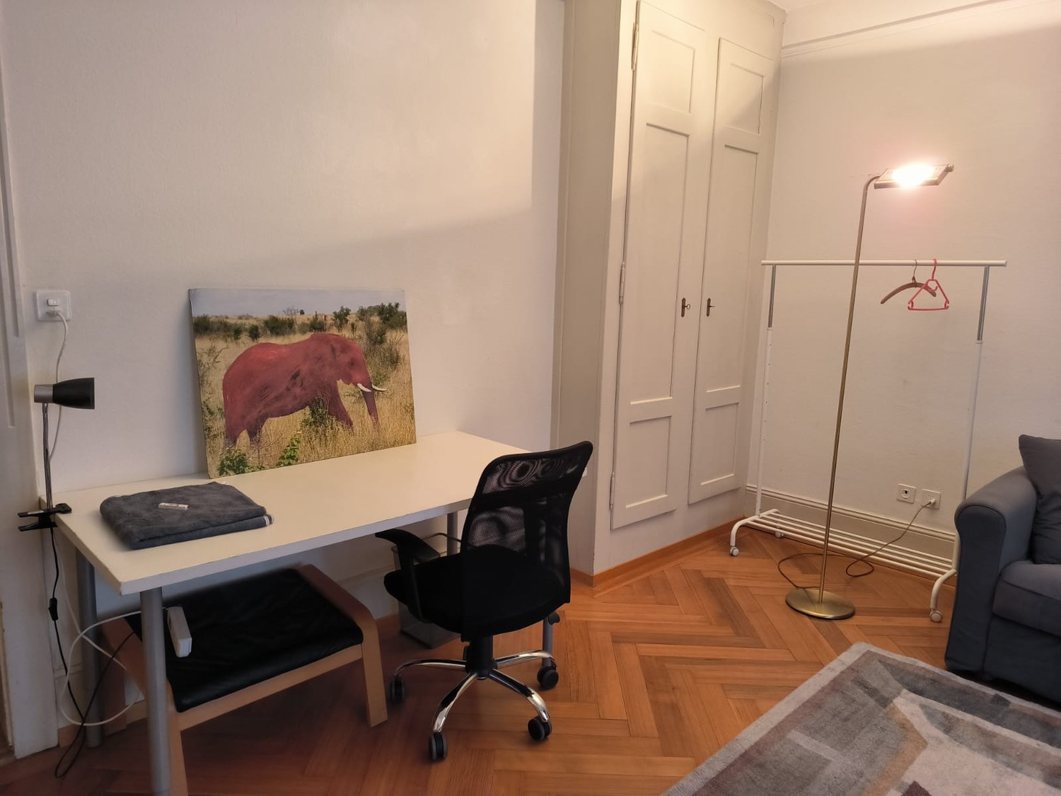 Room in a shared flat