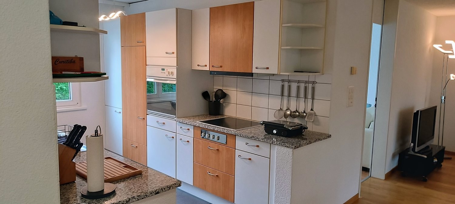 3 ½ rooms furnished flat
