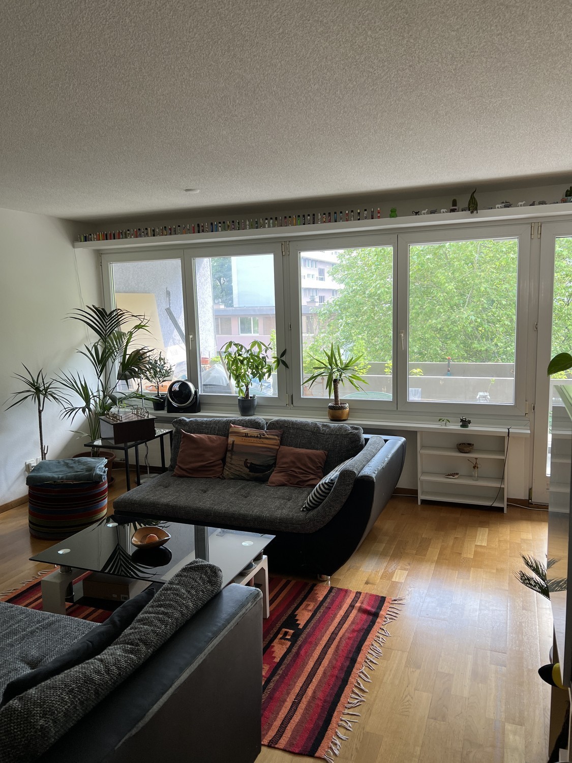 Zimmer in einer WG, Foto 2 von 6