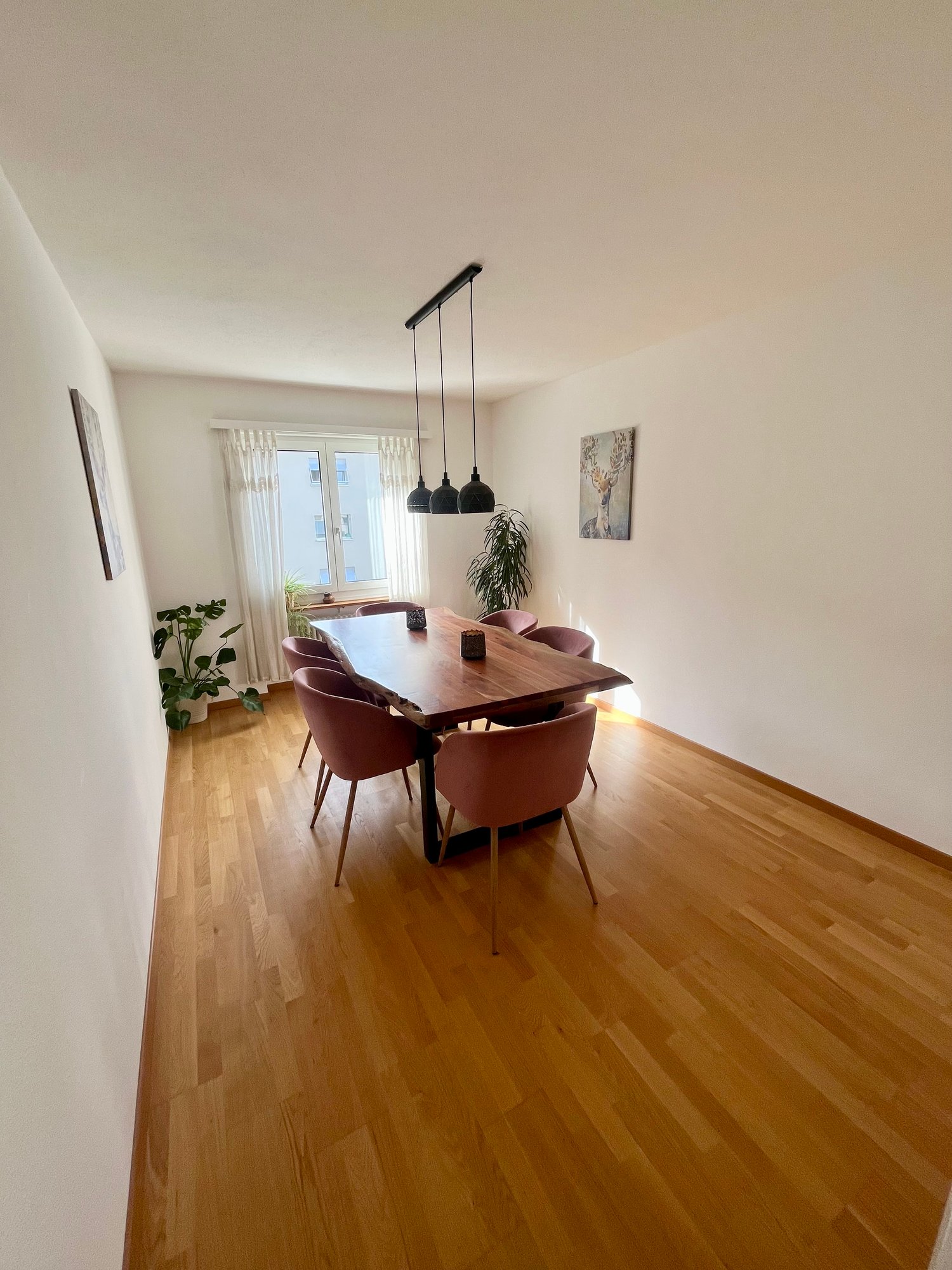 Room in a shared flat