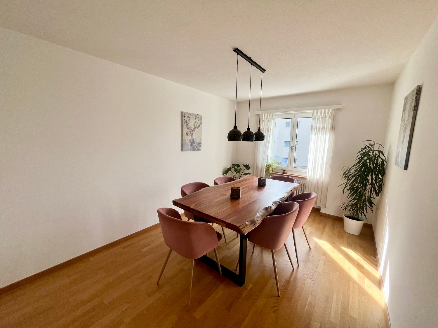 Room in a shared flat