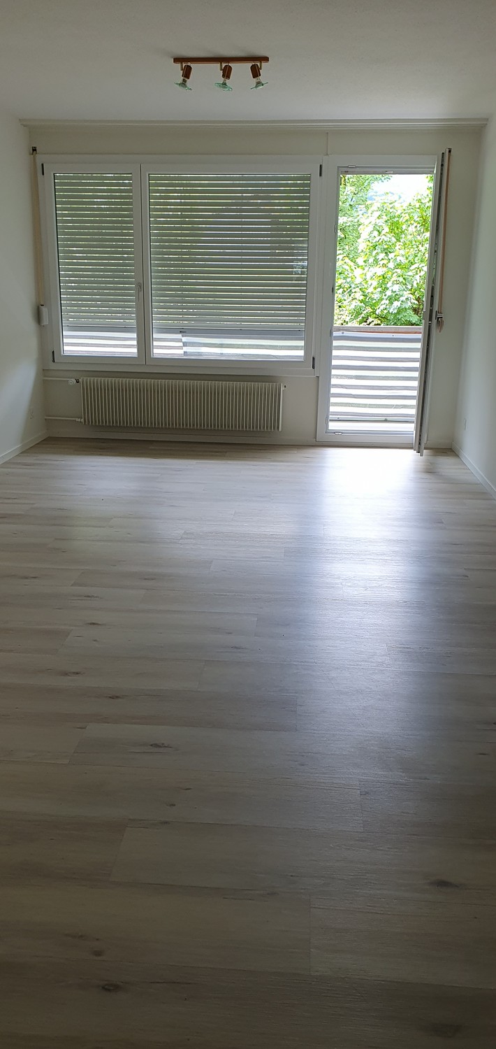 Appartamento di 4 ½ locali