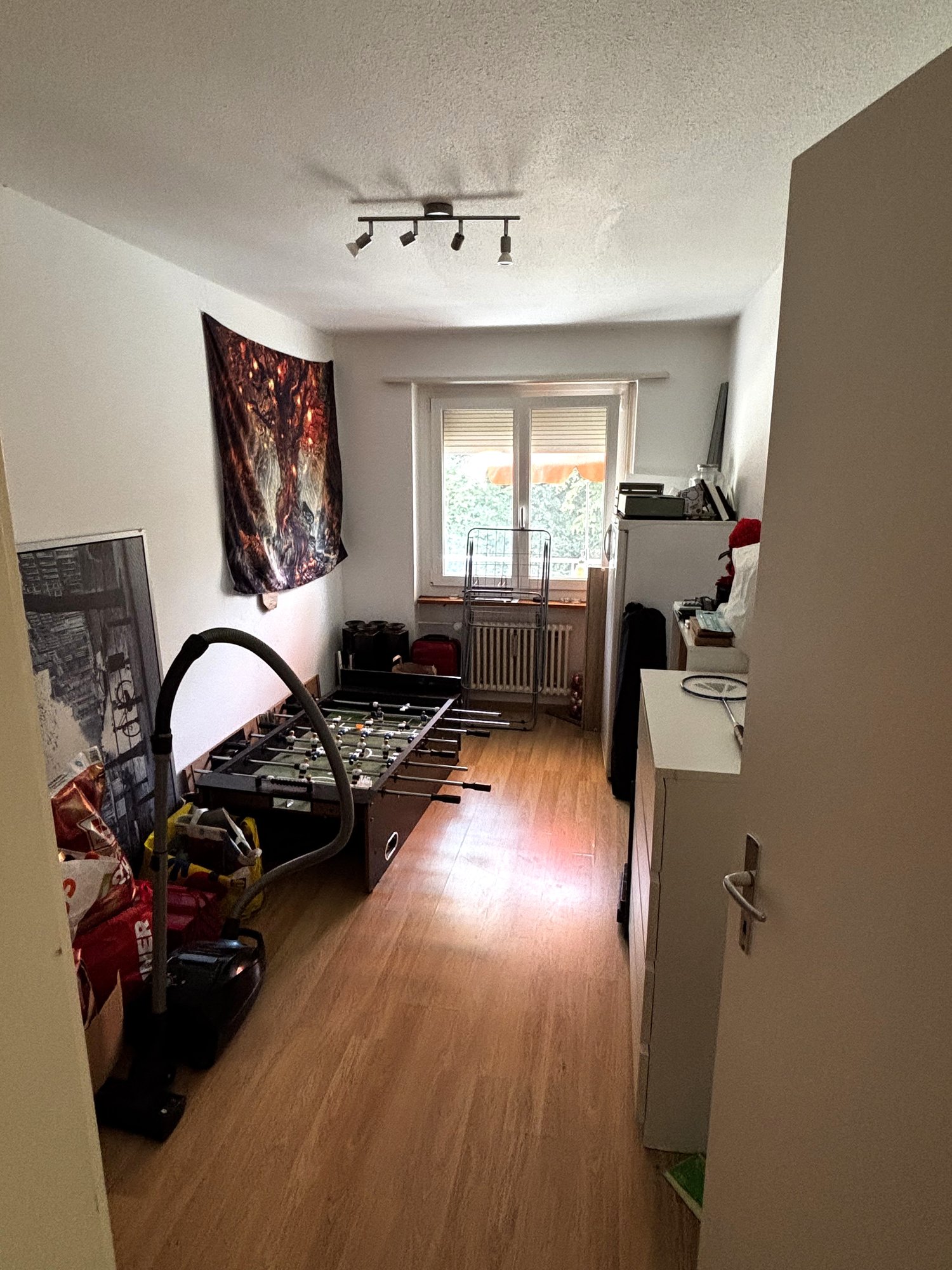 Appartamento di 3 ½ locali