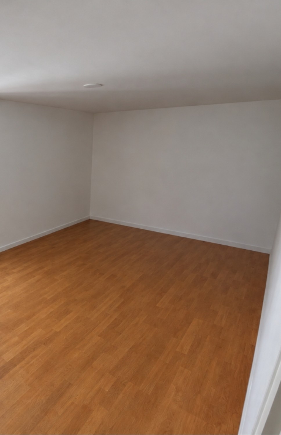 Zimmer in einer Wohngemeinschaft
Das Zimmer ist für Pendler von Montag bis Freitag verfügbar.
Preis 2530 chf pro Monat inklusive allem.
Das Zimmer ist leer und Sie können es nach Ihren Wünschen einrichten.