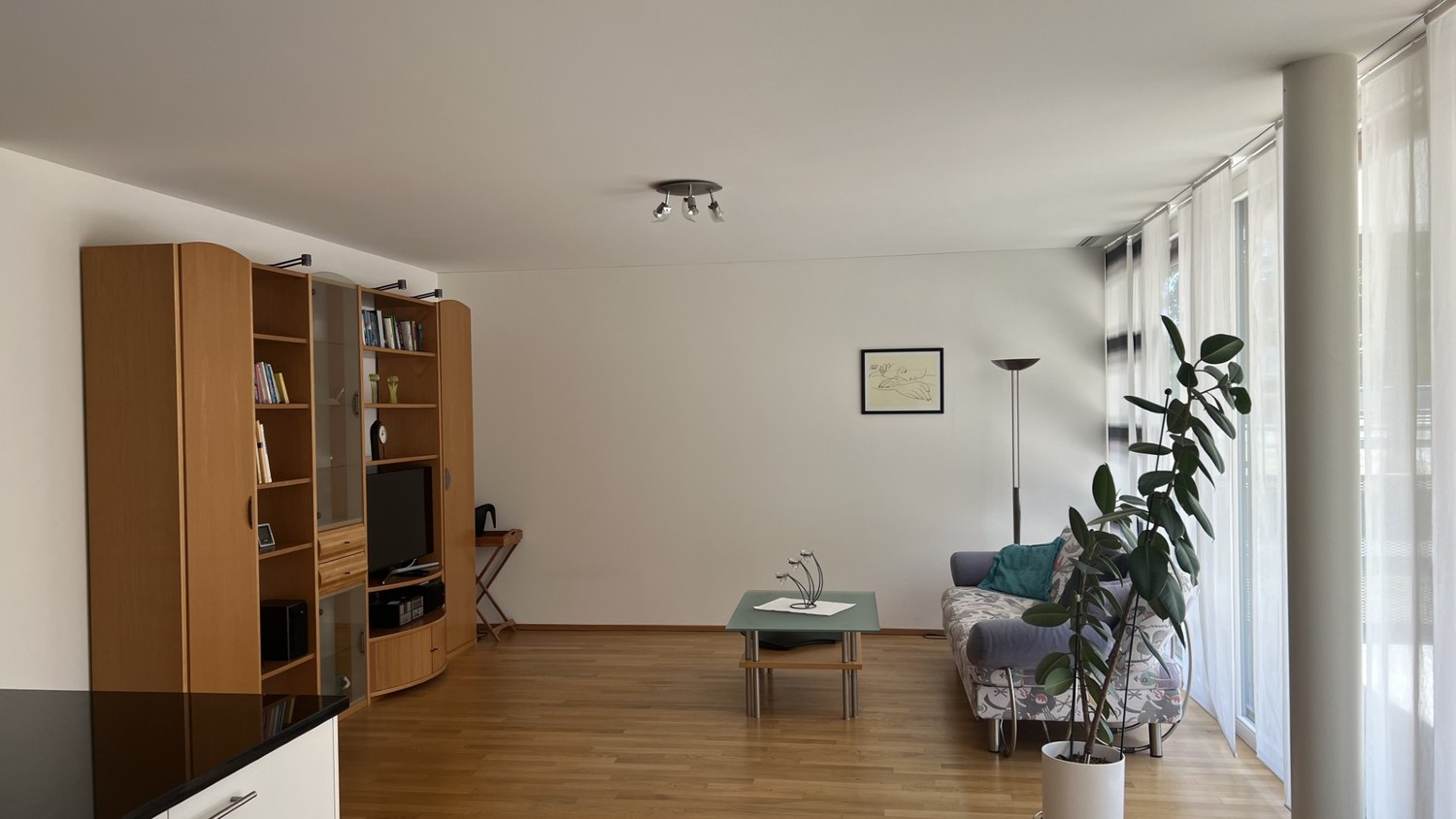Appartement de 3 ½ pièces
