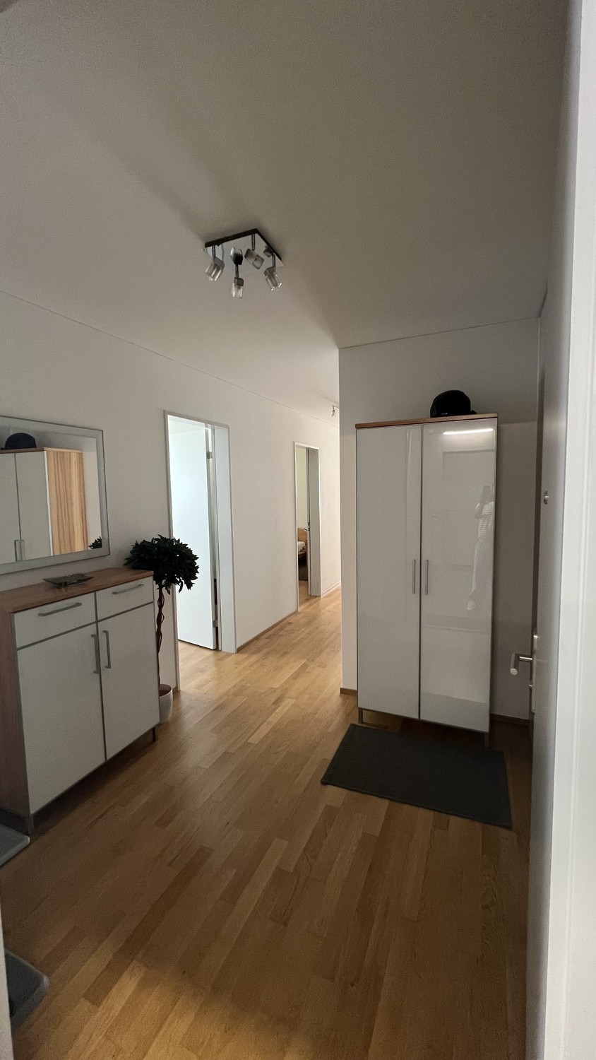 Appartement de 3 ½ pièces