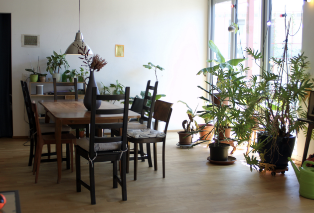 Room in a shared flat