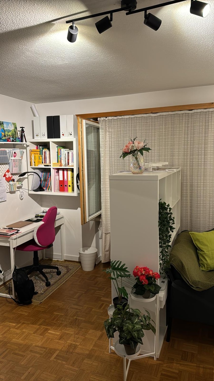 1 room apartment, Foto 4 von 4