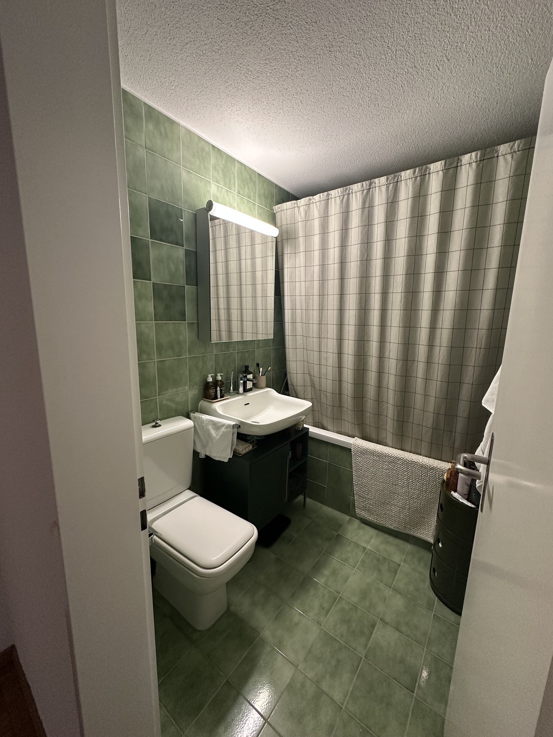 2 ½ Zimmer Wohnung