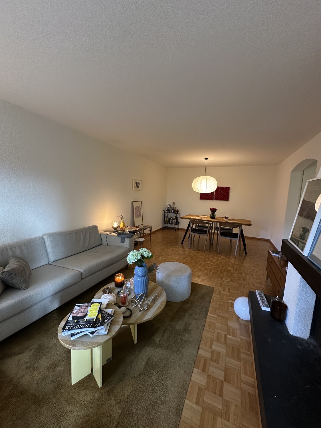 2 ½ Zimmer Wohnung