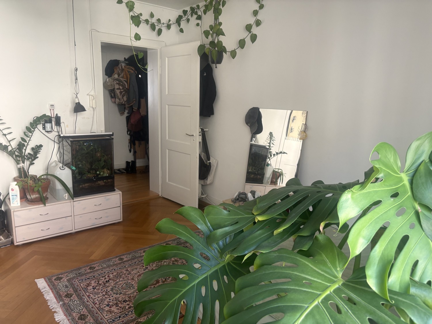 Room in a shared flat, Foto 8 von 9