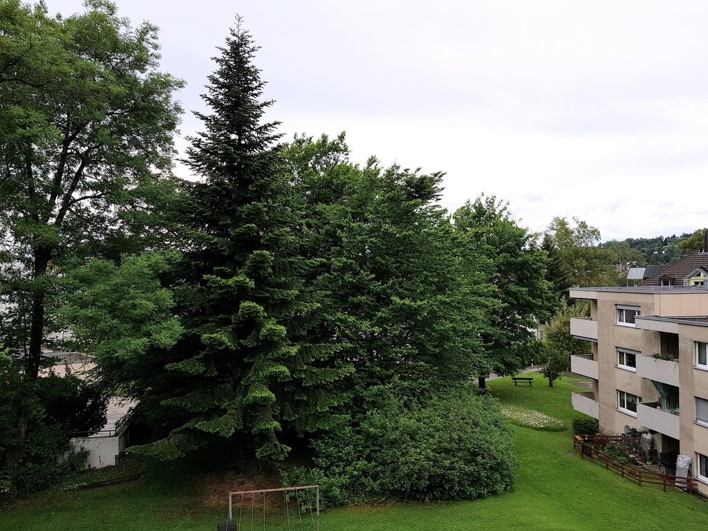 4 rooms apartment, Foto 9 von 9