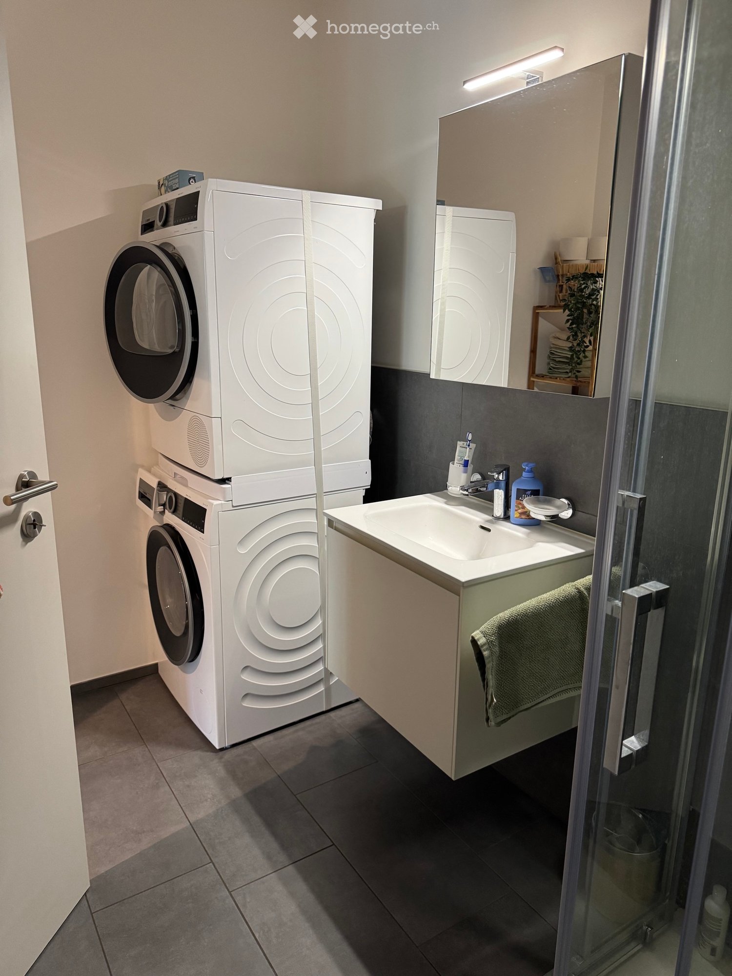 3 ½ Zimmer Wohnung