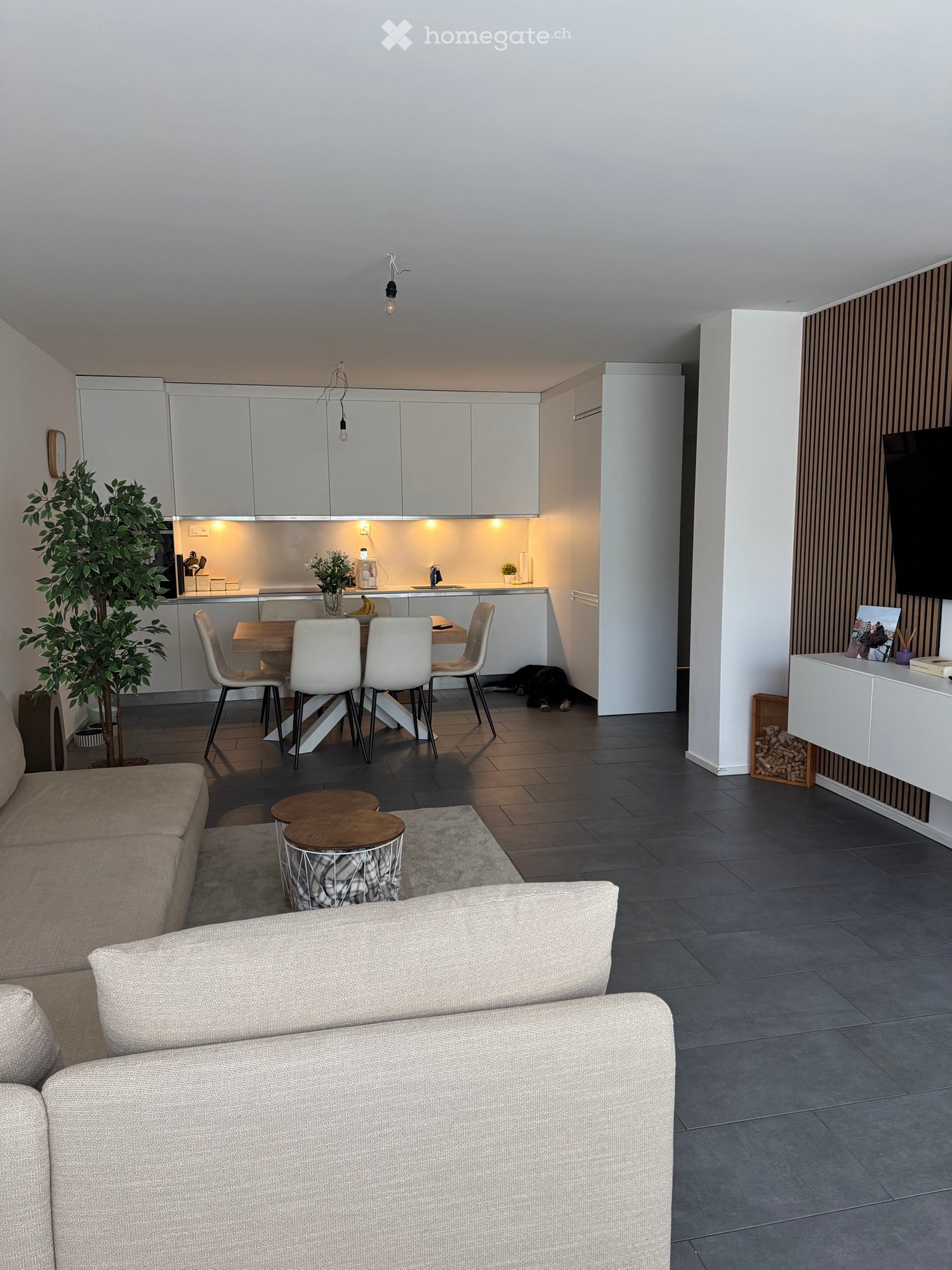 3 ½ Zimmer Wohnung