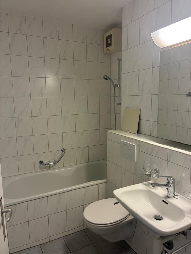 3 ½ rooms apartment (9)