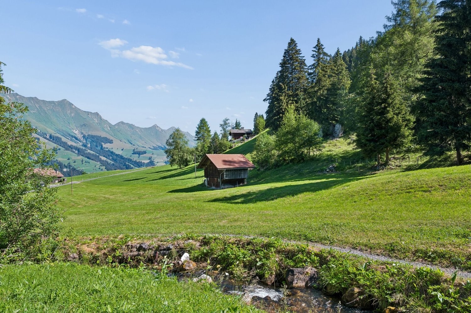 3768m² building land, Foto 2 von 7