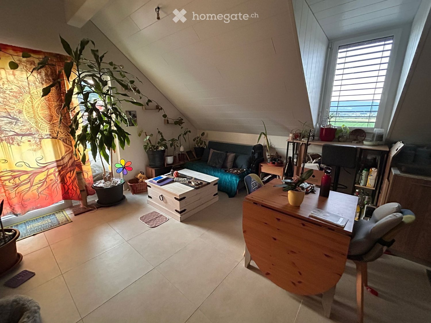 3 Zimmer Wohnung