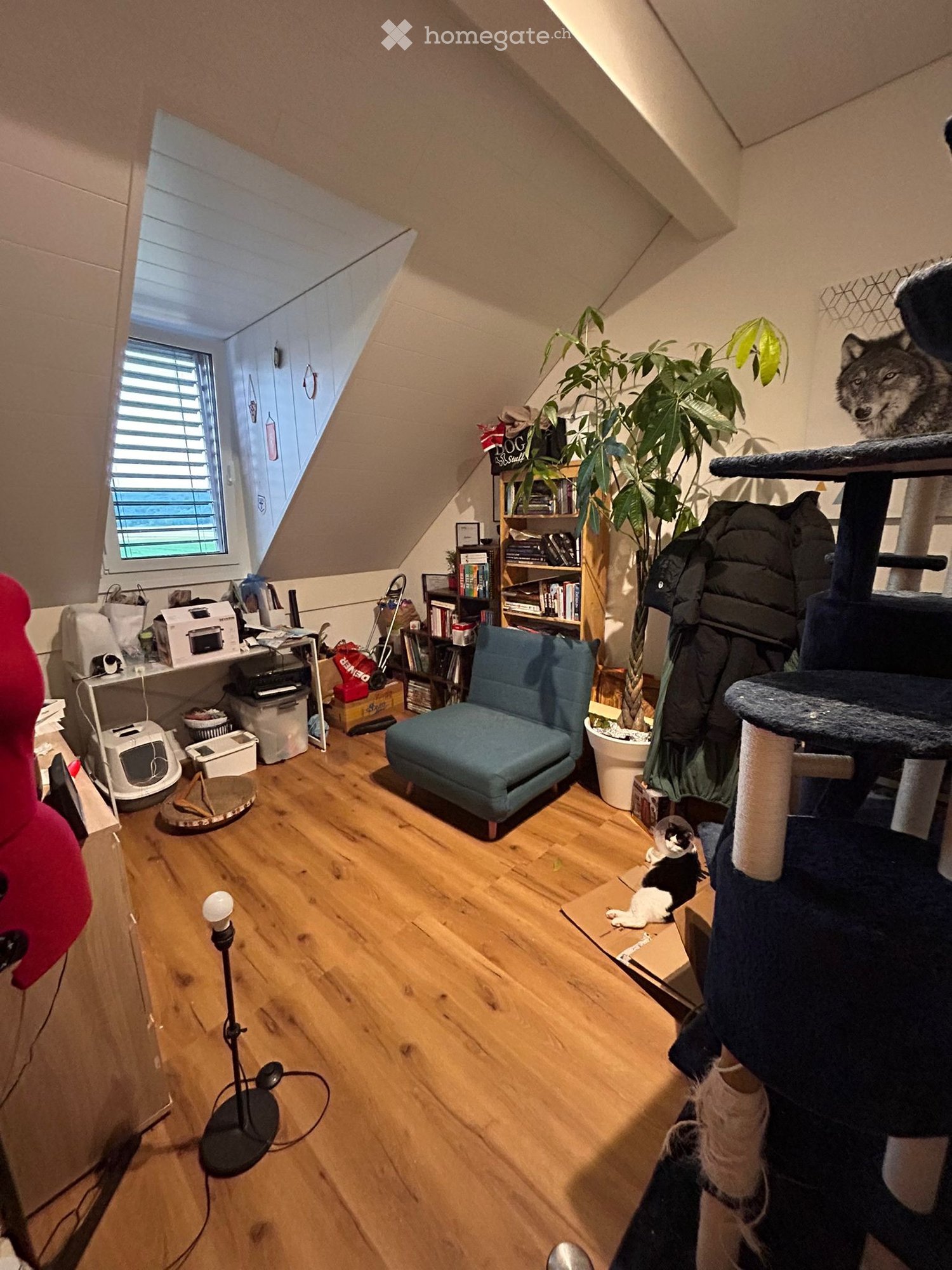 3 Zimmer Wohnung